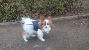 夜のお時間 2019/2/11