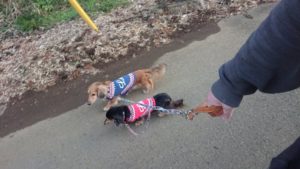 夜のお時間 2019/2/14