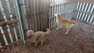 夜のお時間 2019/3/23