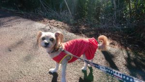 朝のお時間 2019/3/24