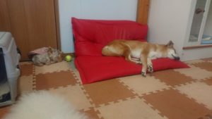 夕方ちょっと前の時間 2019/3/24