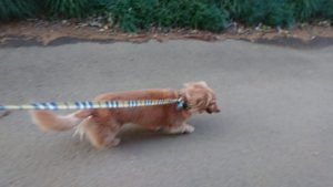 夜のお時間 2019/3/24