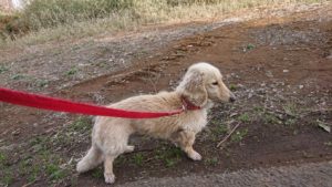 朝のお時間 2019/3/25