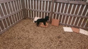 午後のお時間 2019/3/25