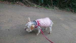 夜のお時間 2019/3/25