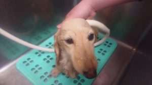 お昼のお時間 2019/3/26