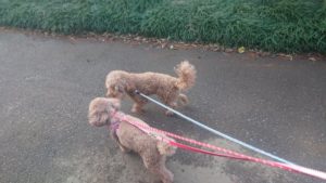 のんびりした夜 2019/3/26