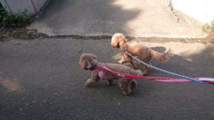 朝のお時間 2019/3/27