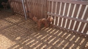 お昼のお時間 2019/3/27