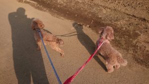 夜のお時間 2019/3/27