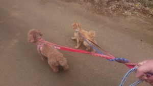 朝のお時間 2019/3/28