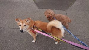 夜のお時間 2019/3/28