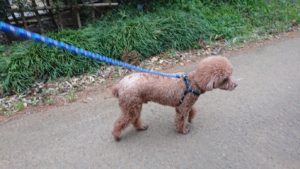 朝のお時間 2019/3/29