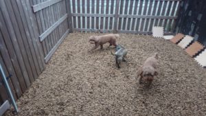 昼のお時間 2019/3/29