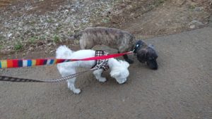 夜のお時間 2019/3/29