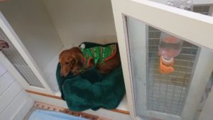 夜のお時間 2019/3/30