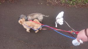 朝のお時間 2019/3/31