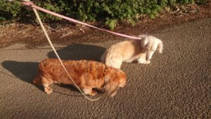 夜のお時間 2019/3/31