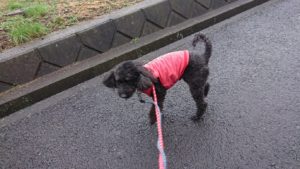 朝のお時間 2019/3/1