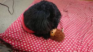 お昼のお時間 2019/3/1