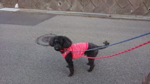 静かな夜 2019/3/1