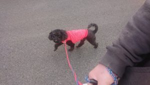 朝のお時間 2019/3/2