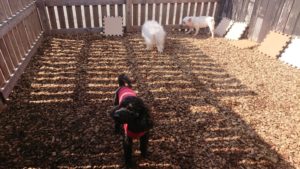 お昼のお時間 2019/3/2