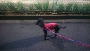 夜のお時間 2019/3/2