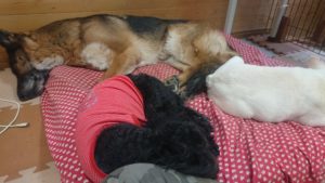 お昼の時間 2019/3/3