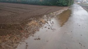 朝のお時間 2019/3/4