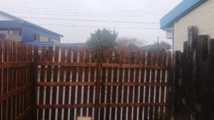 昼のお時間 2019/3/4