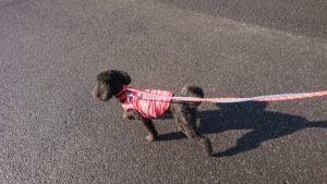 朝のお時間 2019/3/5