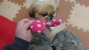 お昼のお時間 2019/3/7