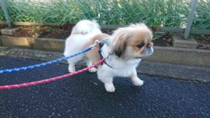 朝のお時間 2019/3/8