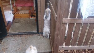 お昼のお時間 2019/3/8