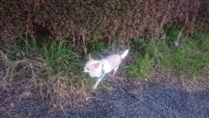 夜のお時間 2019/3/8