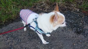 朝のお時間 2019/3/9