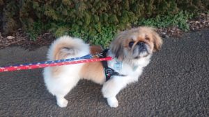 夜のお時間 2019/3/9