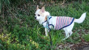 朝のお時間 2019/3/10