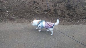 夜のお時間 2019/3/10