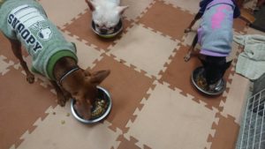 夜のお時間 2019/3/11