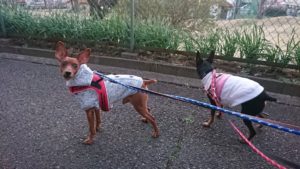 夜のお時間 2019/3/12