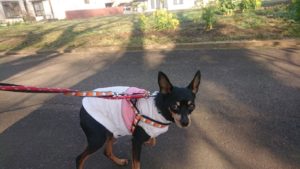 朝のお時間 2019/3/13