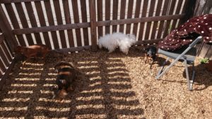 日向ぼっこ 2019/3/14