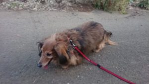 夜のお時間 2019/3/14