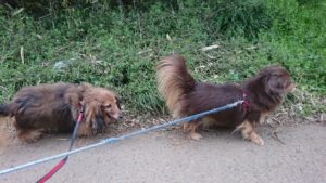 夜のお時間 2019/3/15