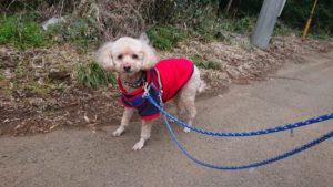 朝のお時間 2019/3/16