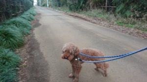 夜のお時間 2019/3/17