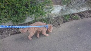 朝のお時間 2019/3/18