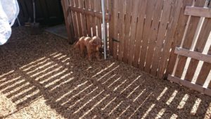 お昼のお時間 2019/3/18